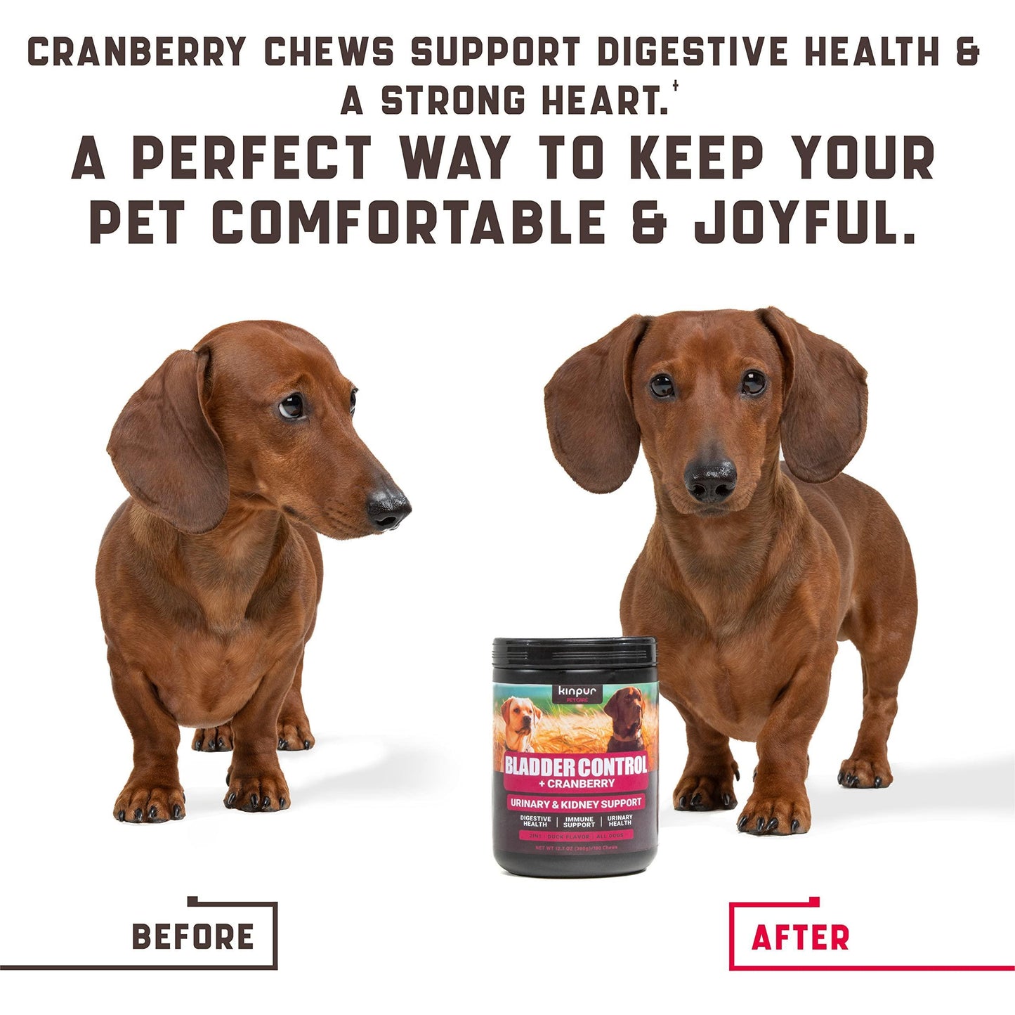 180 Cranberry Chews Dog Cranberry Supplement Natural Aid for Urinary Tract Bladder Kidney Health Immune Support for Dogs of All Ages and Breeds American Quality Duck Flavor